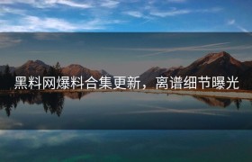 黑料网爆料合集更新，离谱细节曝光