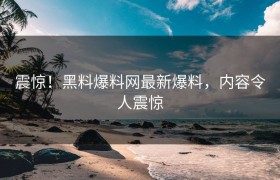 震惊！黑料爆料网最新爆料，内容令人震惊