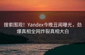 搜索围观！Yandex今晚丑闻曝光，劲爆真相全网炸裂真相大白