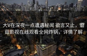 大V在深夜一点遭遇秘闻 欲言又止，蘑菇影视在线观看全网炸锅，详情了解