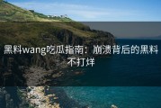 黑料wang吃瓜指南：崩溃背后的黑料不打烊