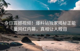 今日震撼视频！爆料站独家揭秘正能量网红内幕，真相让人瞠目