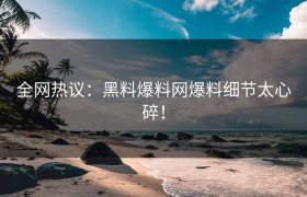全网热议：黑料爆料网爆料细节太心碎！
