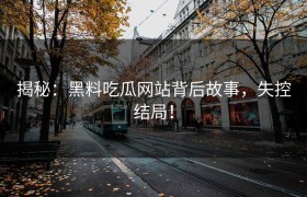 揭秘：黑料吃瓜网站背后故事，失控结局！