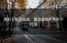 黑料王吃瓜指南：震惊背后的黑料不打烊