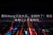 黑料Wang又出大瓜，全网炸了！背后真相让人不敢相信