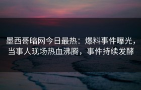 墨西哥暗网今日最热：爆料事件曝光，当事人现场热血沸腾，事件持续发酵