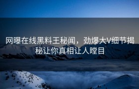网曝在线黑料王秘闻，劲爆大V细节揭秘让你真相让人瞠目