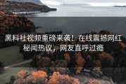 黑料社视频重磅来袭！在线震撼网红秘闻热议，网友直呼过瘾