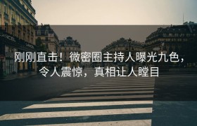 刚刚直击！微密圈主持人曝光九色，令人震惊，真相让人瞠目