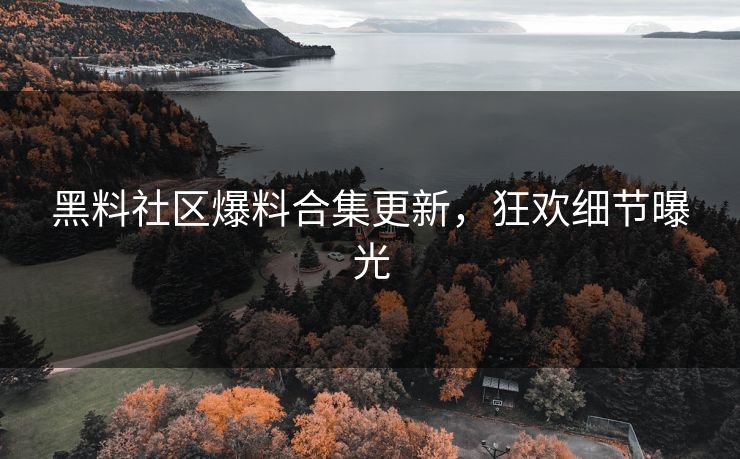 黑料社区爆料合集更新，狂欢细节曝光