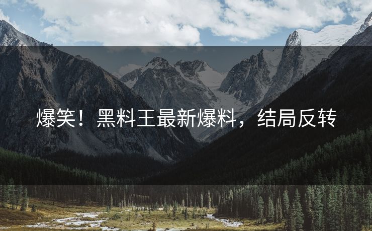 爆笑！黑料王最新爆料，结局反转