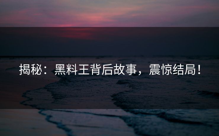 揭秘：黑料王背后故事，震惊结局！