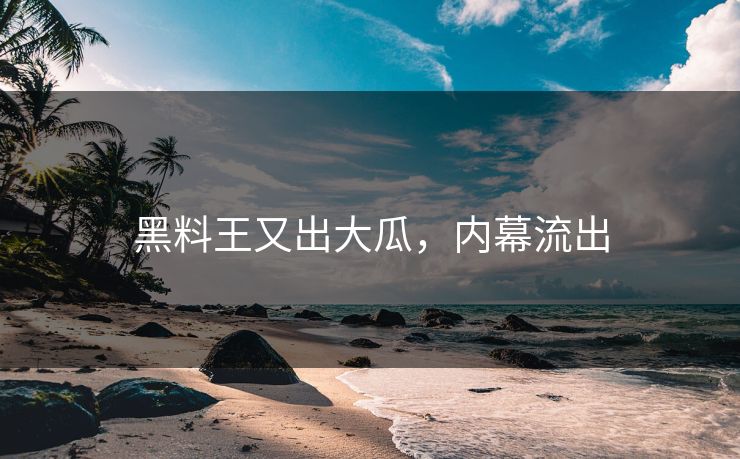 黑料王又出大瓜，内幕流出