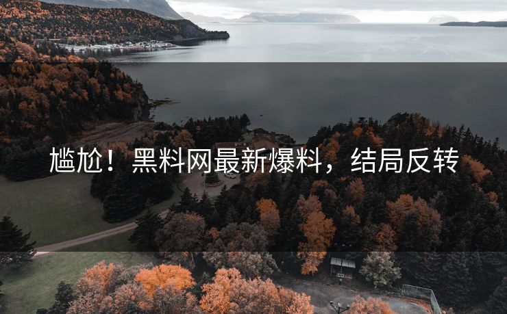 尴尬！黑料网最新爆料，结局反转