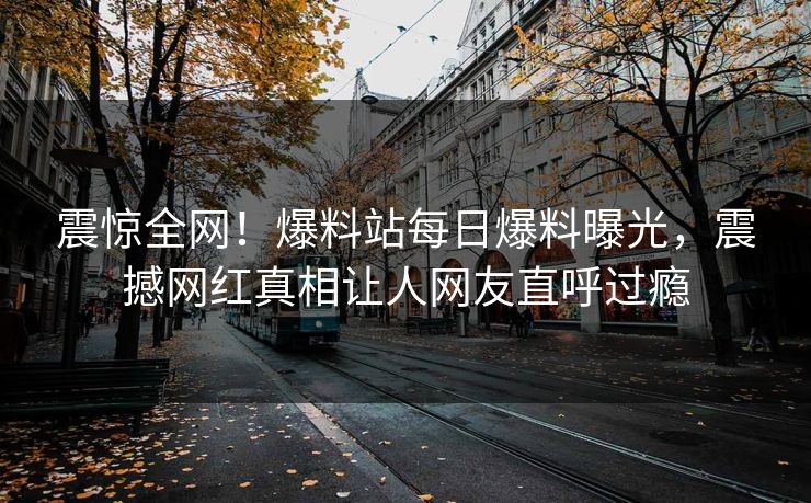 震惊全网！爆料站每日爆料曝光，震撼网红真相让人网友直呼过瘾