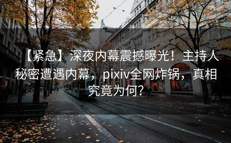 【紧急】深夜内幕震撼曝光！主持人秘密遭遇内幕，pixiv全网炸锅，真相究竟为何？