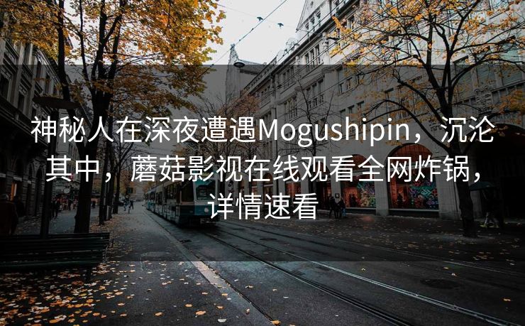 神秘人在深夜遭遇Mogushipin，沉沦其中，蘑菇影视在线观看全网炸锅，详情速看