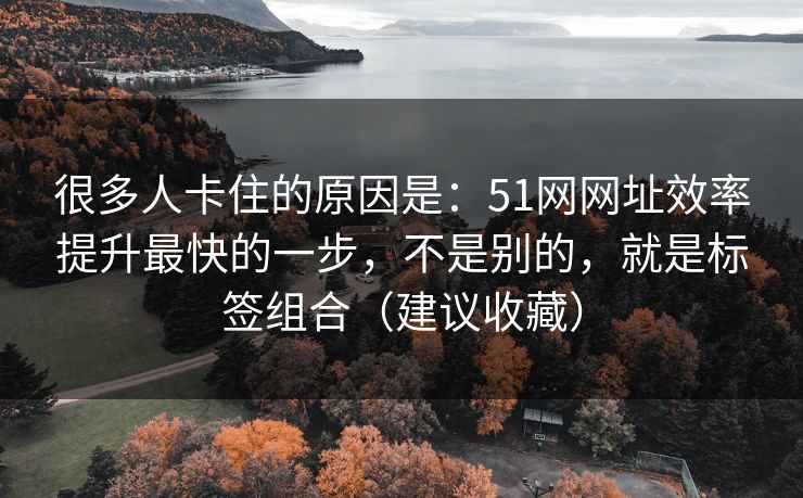 很多人卡住的原因是:51网网址效率提升最快的一步,不是别的,就是标签组合(建议收藏) 很多人卡住的原因是:51网网址效率提升最快的一步,不是别的,就是标签组合(建议收藏)